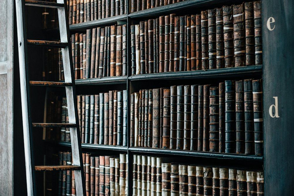 Estantería de biblioteca jurídica: delitos de la Ley de Control de Armas